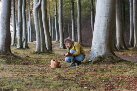 Winter Foraging In the Forest Image